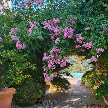 Bed and Breakfast Cortijo La Haza Iznájar Zewnętrze zdjęcie