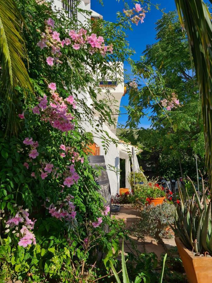 Bed and Breakfast Cortijo La Haza Iznájar Zewnętrze zdjęcie