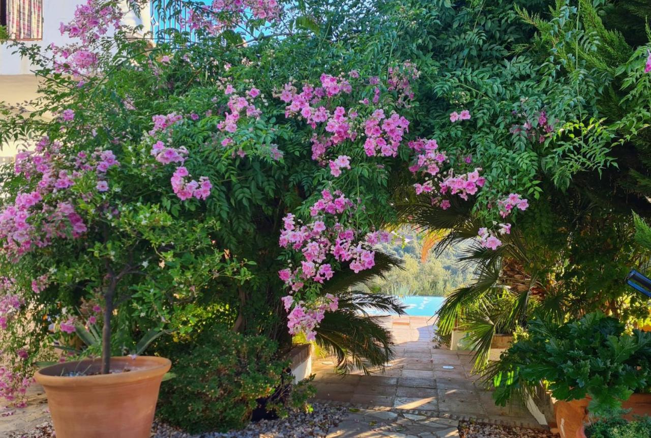 Bed and Breakfast Cortijo La Haza Iznájar Zewnętrze zdjęcie