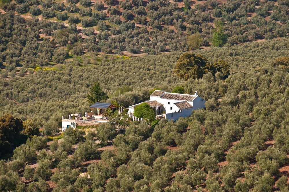 Bed and Breakfast Cortijo La Haza Iznájar Zewnętrze zdjęcie